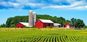 Farm and field